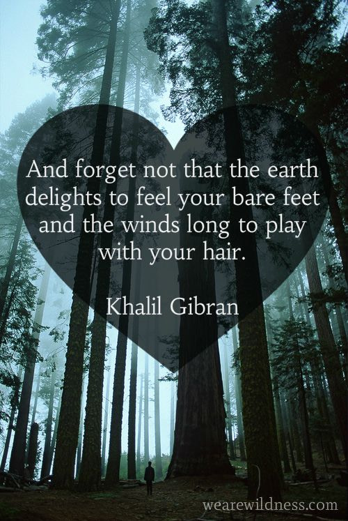 And forget not that the earth delights to feel your bare feet and the winds long to play with your hair. Quote by Khalil Gibran