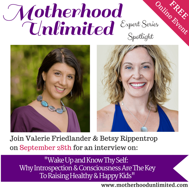 Motherhood Unlimited Expert Services Spotlight with Valerie Friedlander and Betsy Rippentrop